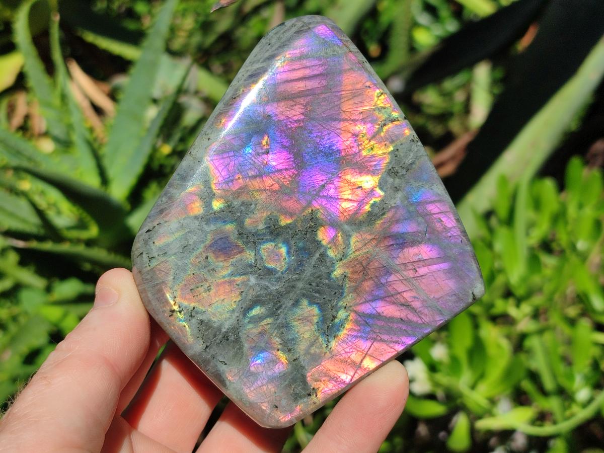 Polished Rare Purple Sunset Flash Labradorite Standing Display Pieces x 4 From Madagascar - Toprock Gemstones and Minerals 