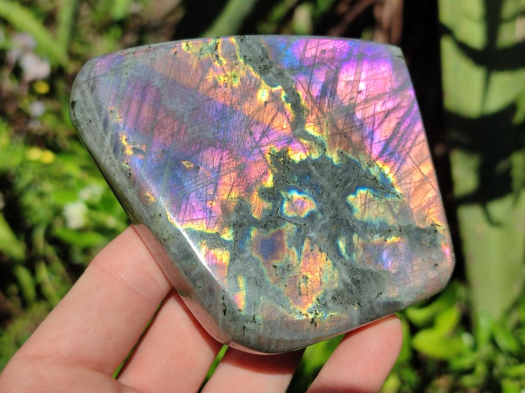 Polished Rare Purple Sunset Flash Labradorite Standing Display Pieces x 4 From Madagascar - Toprock Gemstones and Minerals 
