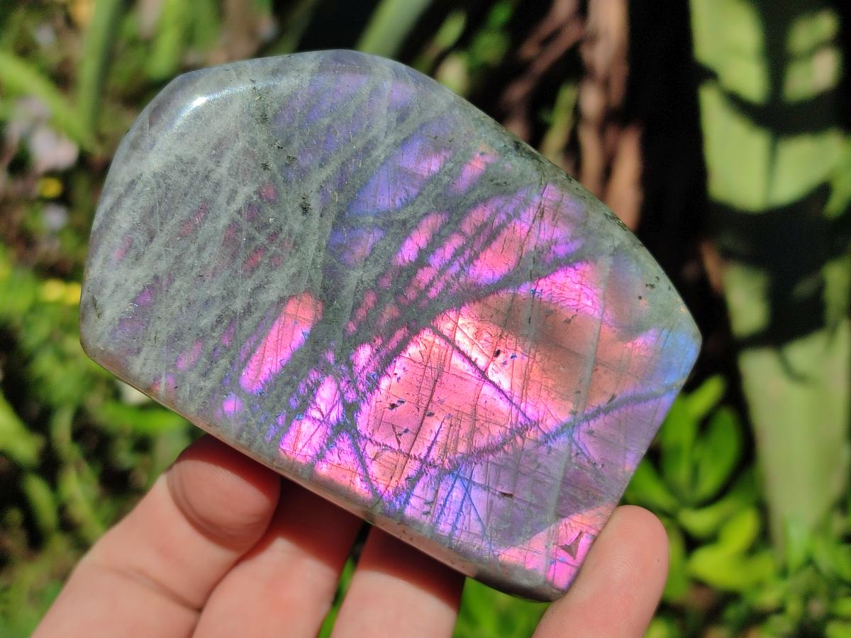 Polished Rare Purple Sunset Flash Labradorite Standing Display Pieces x 4 From Madagascar - Toprock Gemstones and Minerals 