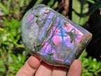 Polished Rare Purple Sunset Flash Labradorite Standing Display Pieces x 4 From Madagascar - Toprock Gemstones and Minerals 