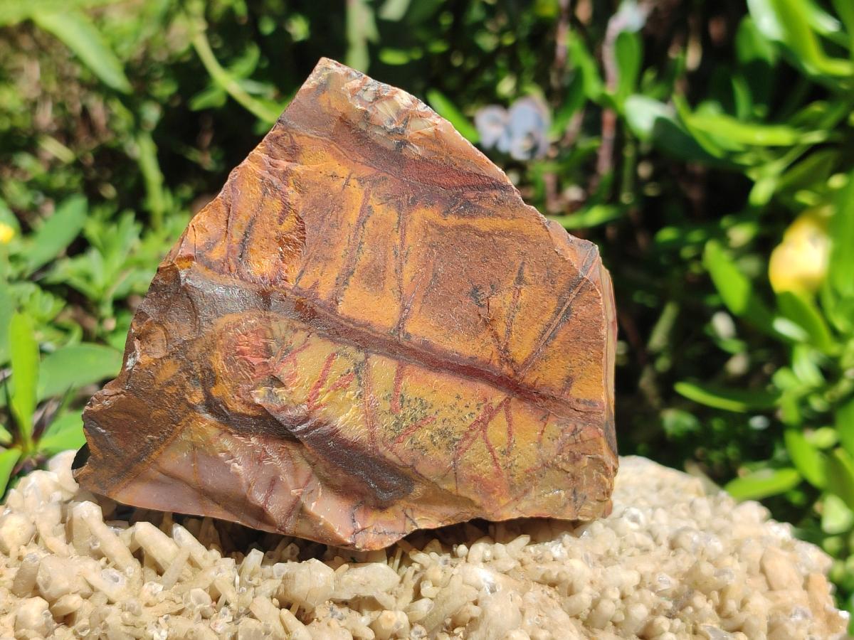 Natural Multi Mineral Specimens x 12 From Southern Africa - Toprock Gemstones and Minerals 