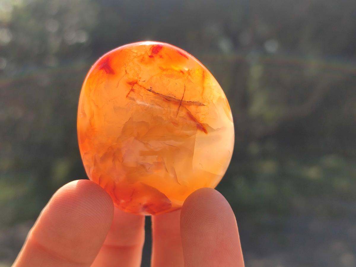 Polished Carnelian Agate Gemstone Galets x 24 From Madagascar - Toprock Gemstones and Minerals 