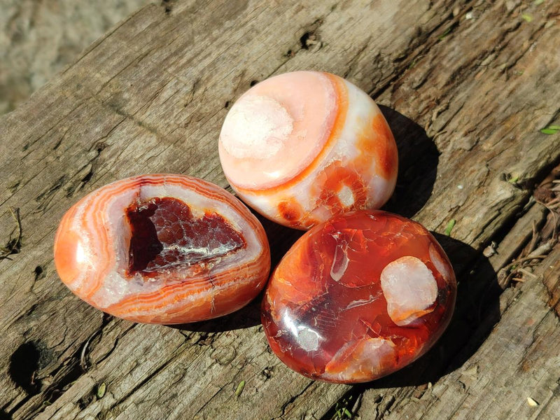 Polished Carnelian Agate Gemstone Galets x 24 From Madagascar - Toprock Gemstones and Minerals 