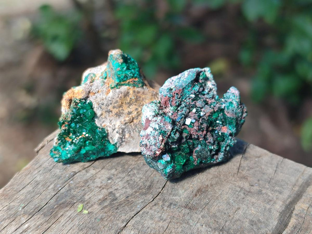 Natural Dioptase on Dolomite Specimens x 24 From Likasi, Congo - Toprock Gemstones and Minerals 
