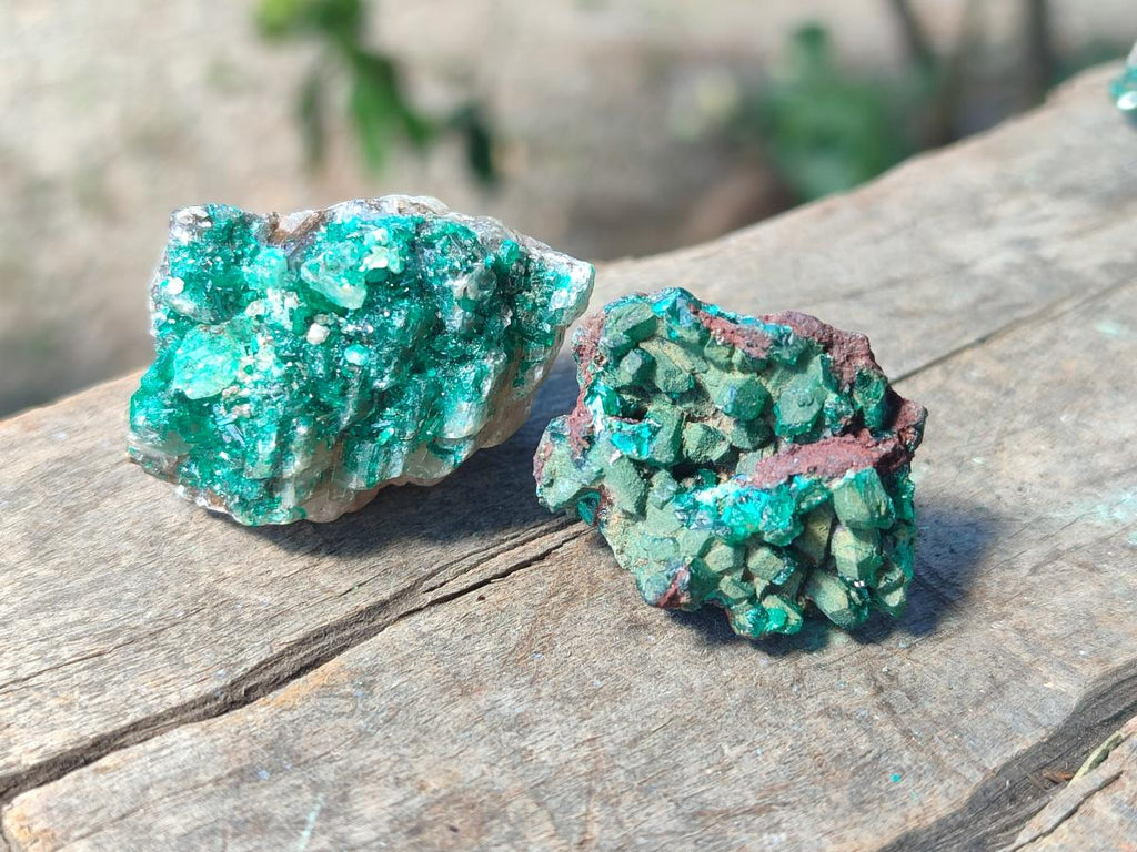 Natural Dioptase on Dolomite Specimens x 24 From Likasi, Congo - Toprock Gemstones and Minerals 