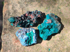 Natural Dioptase on Dolomite Specimens x 24 From Likasi, Congo - Toprock Gemstones and Minerals 