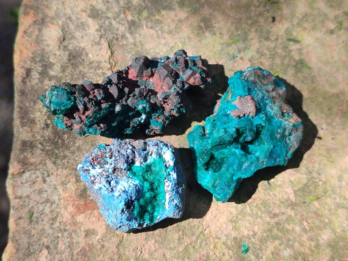 Natural Dioptase on Dolomite Specimens x 24 From Likasi, Congo - Toprock Gemstones and Minerals 