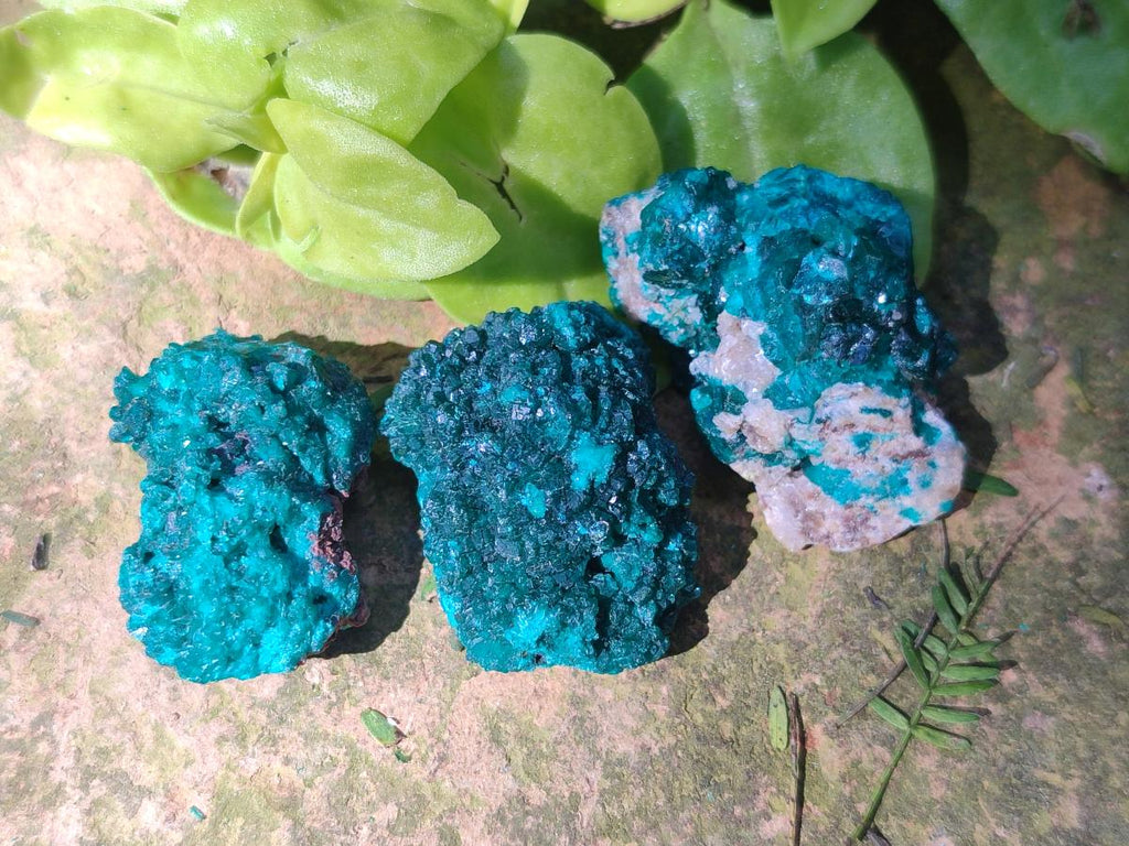 Natural Dioptase on Dolomite Specimens x 24 From Likasi, Congo - Toprock Gemstones and Minerals 