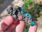 Natural Dioptase on Dolomite Specimens x 24 From Likasi, Congo - Toprock Gemstones and Minerals 