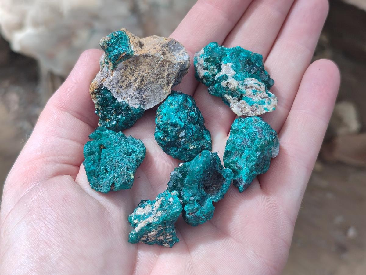 Natural Dioptase on Dolomite Specimens x 24 From Likasi, Congo - Toprock Gemstones and Minerals 