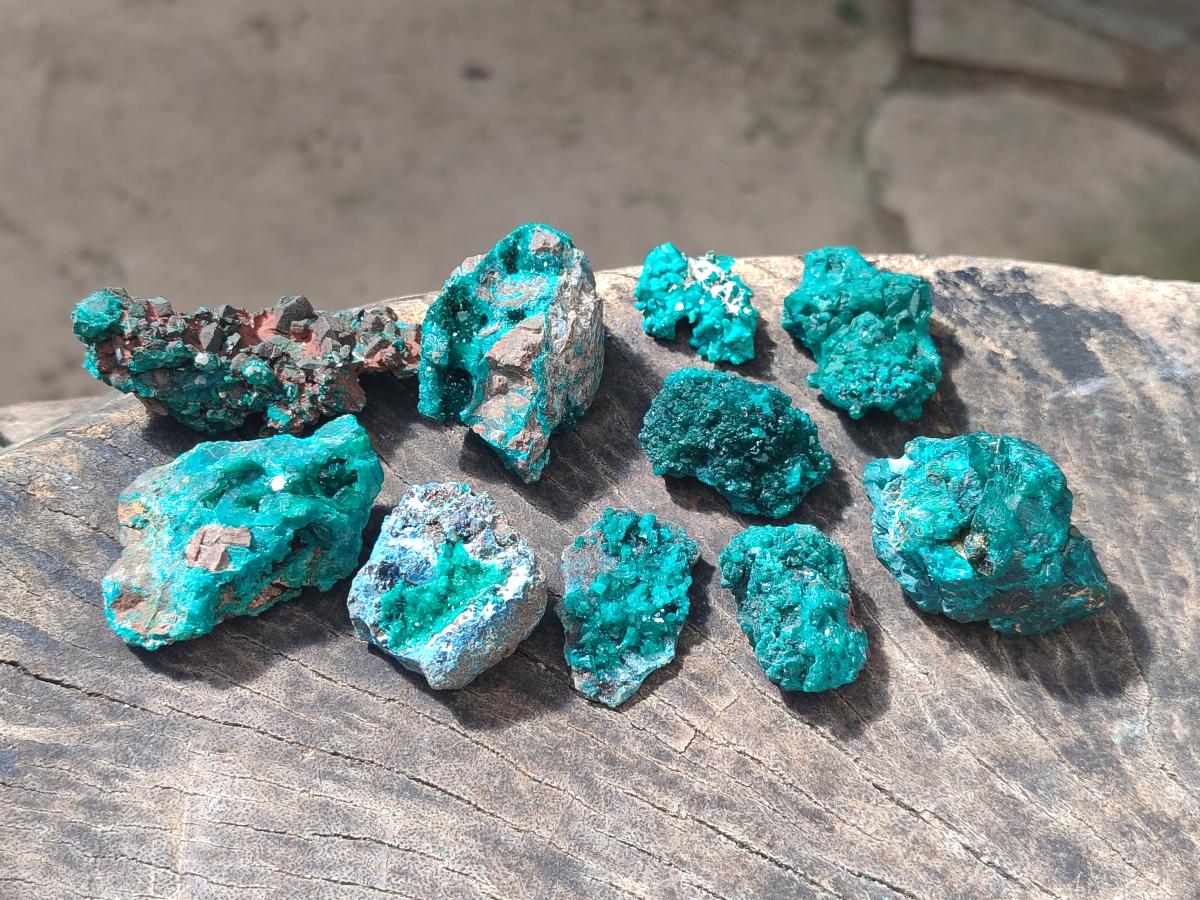 Natural Dioptase on Dolomite Specimens x 24 From Likasi, Congo - Toprock Gemstones and Minerals 