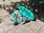 Natural Dioptase on Dolomite Specimens x 24 From Likasi, Congo - Toprock Gemstones and Minerals 