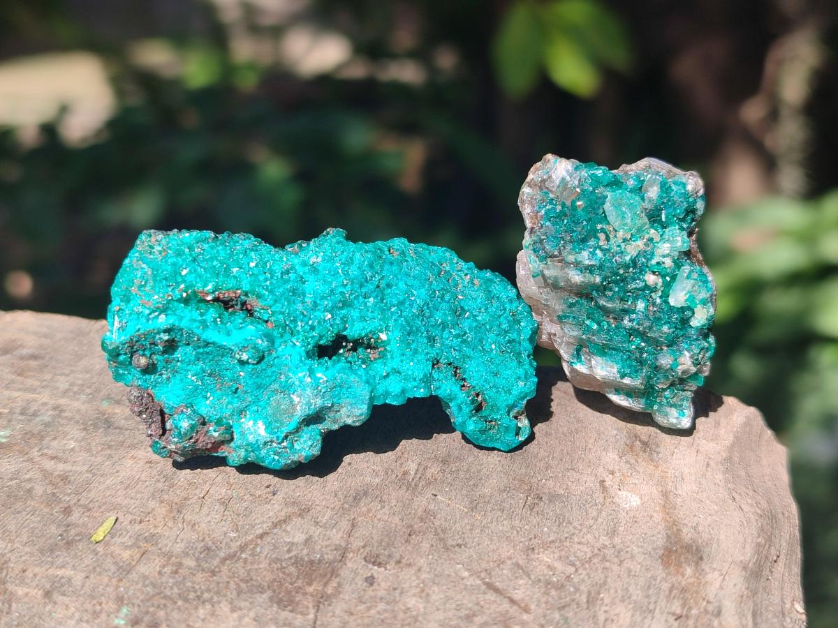 Natural Dioptase on Dolomite Specimens x 24 From Likasi, Congo - Toprock Gemstones and Minerals 