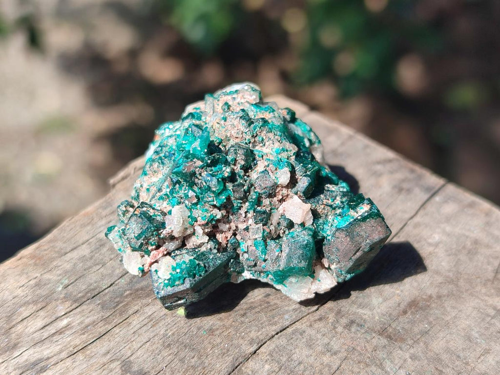 Natural Dioptase on Dolomite Specimens x 24 From Likasi, Congo - Toprock Gemstones and Minerals 