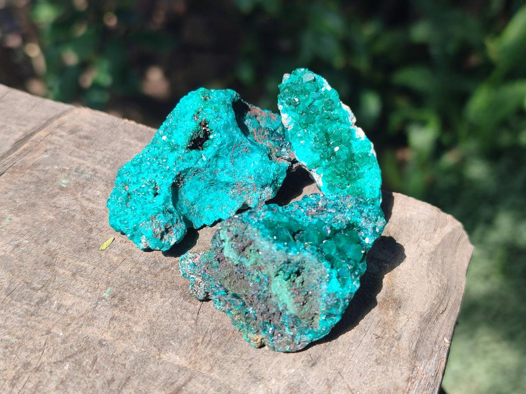 Natural Dioptase on Dolomite Specimens x 24 From Likasi, Congo - Toprock Gemstones and Minerals 