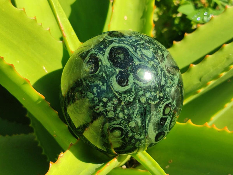 Polished Stromatolite Spheres x 4 From Katsepy, Madagascar - Toprock Gemstones and Minerals 