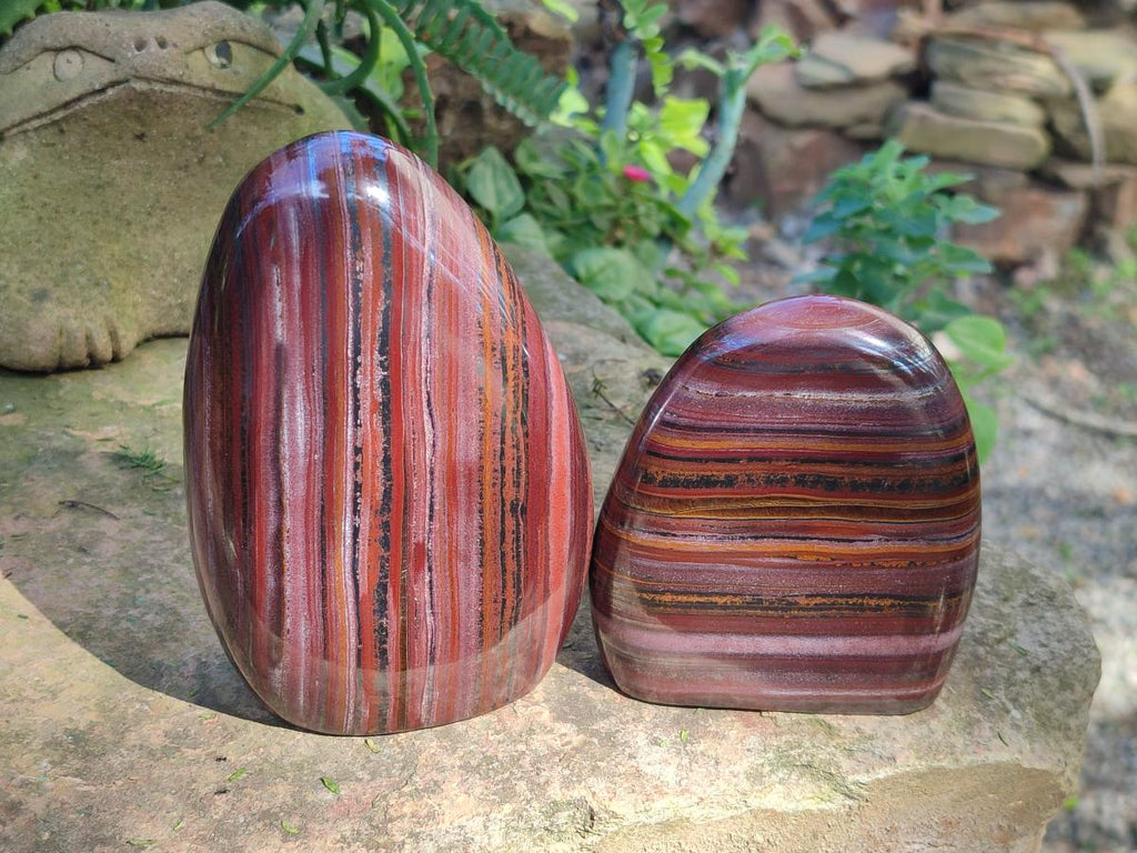 Polished Banded Tiger Iron Standing Display Pieces x 2 From South Africa - Toprock Gemstones and Minerals 
