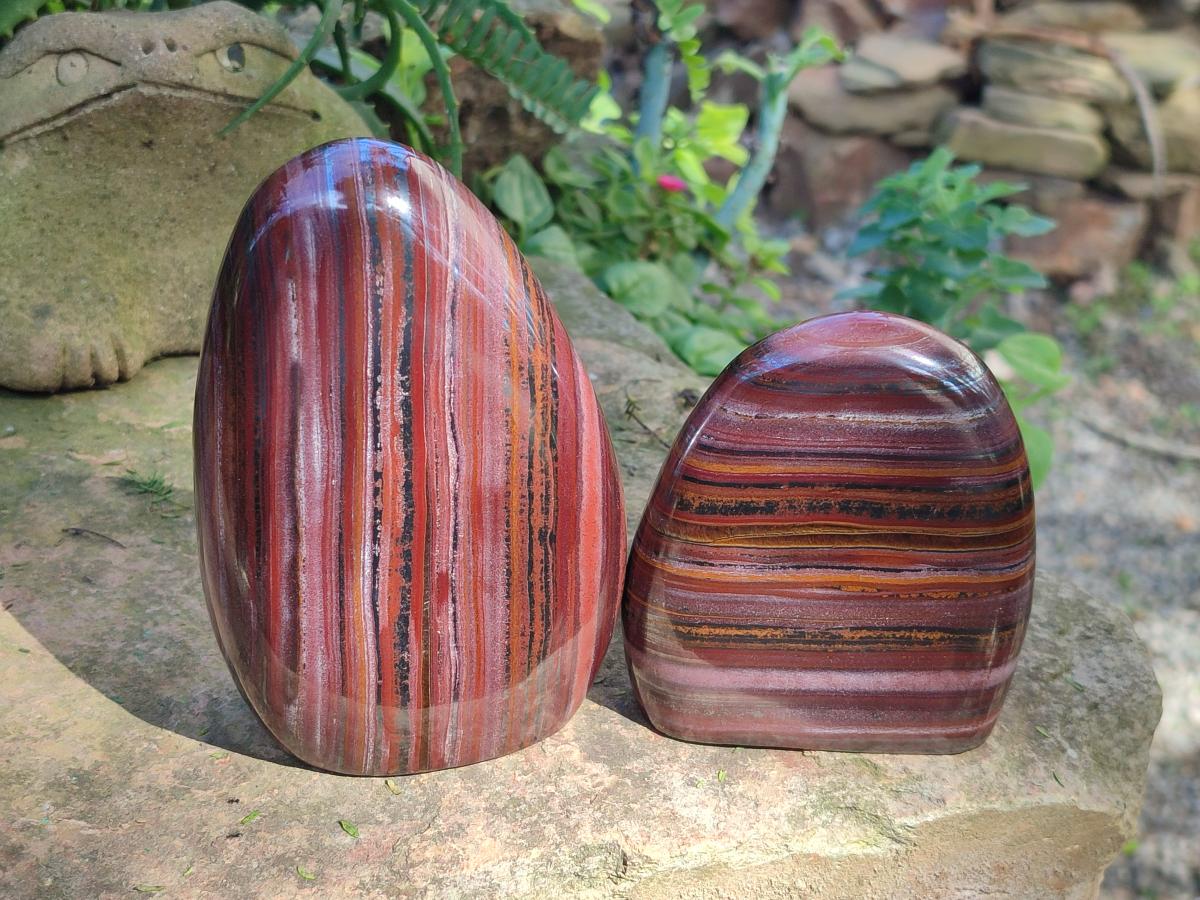 Polished Banded Tiger Iron Standing Display Pieces x 2 From South Africa - Toprock Gemstones and Minerals 