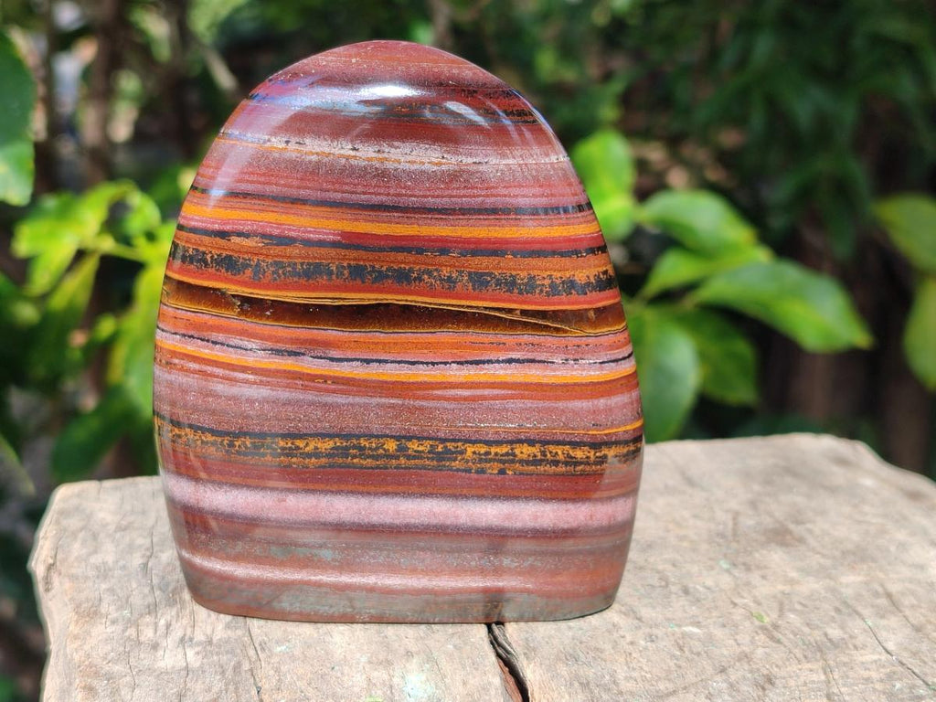 Polished Banded Tiger Iron Standing Display Pieces x 2 From South Africa - Toprock Gemstones and Minerals 