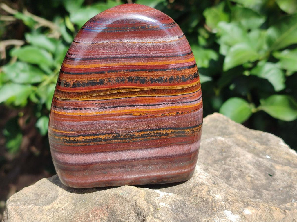Polished Banded Tiger Iron Standing Display Pieces x 2 From South Africa - Toprock Gemstones and Minerals 