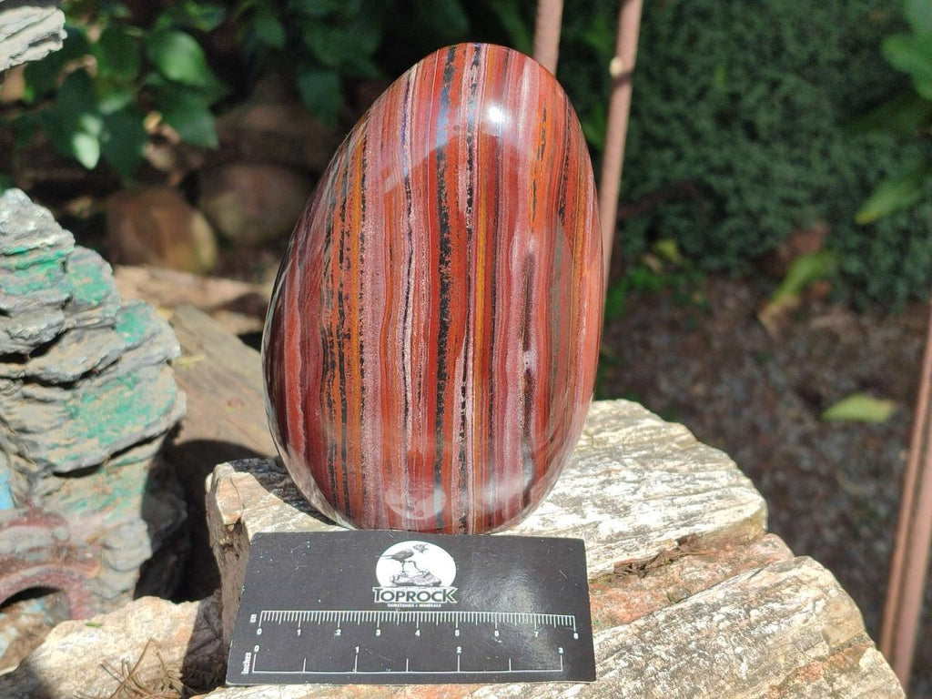 Polished Banded Tiger Iron Standing Display Pieces x 2 From South Africa - Toprock Gemstones and Minerals 