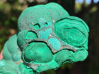 Natural Botryoidal Malachite Specimens x 3 From Congo - Toprock Gemstones and Minerals 