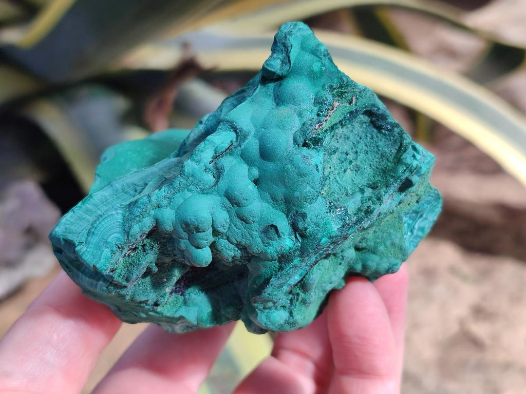 Natural Botryoidal Malachite Specimens x 3 From Congo - Toprock Gemstones and Minerals 