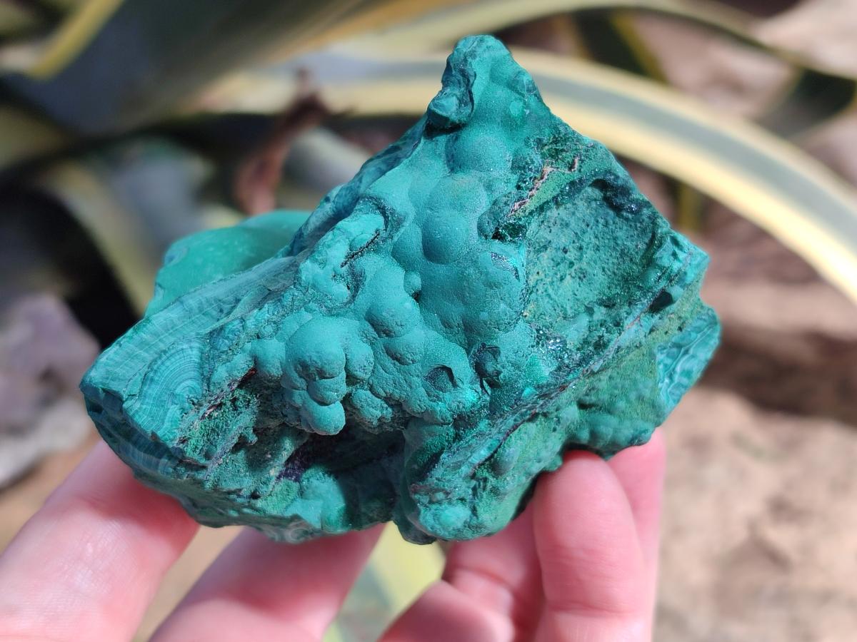 Natural Botryoidal Malachite Specimens x 3 From Congo - Toprock Gemstones and Minerals 