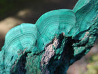 Natural Botryoidal Malachite Specimens x 3 From Congo - Toprock Gemstones and Minerals 