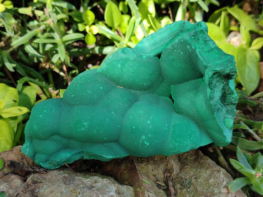 Natural Botryoidal Malachite Specimens x 3 From Congo - Toprock Gemstones and Minerals 