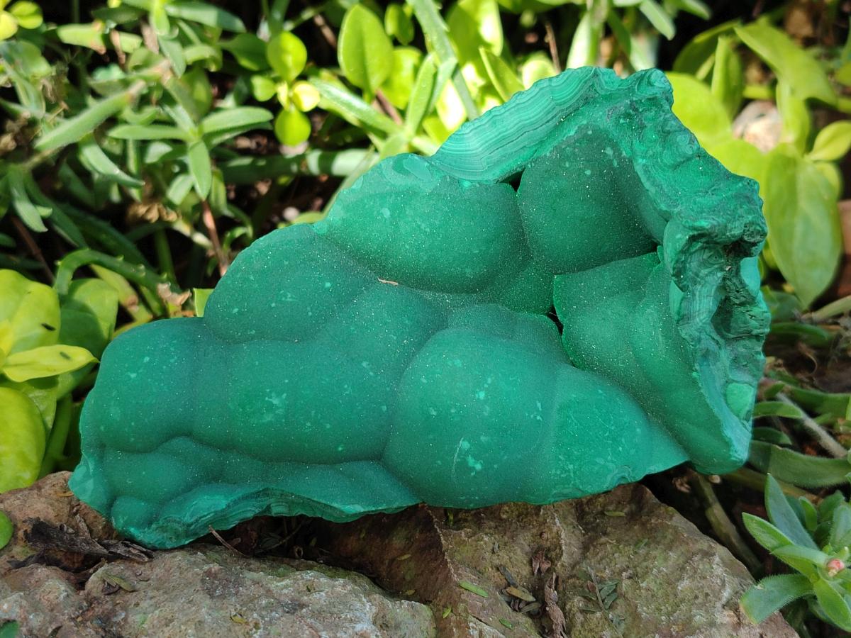 Natural Botryoidal Malachite Specimens x 3 From Congo - Toprock Gemstones and Minerals 
