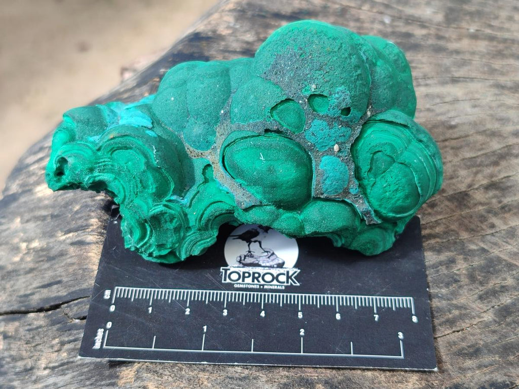 Natural Botryoidal Malachite Specimens x 3 From Congo - Toprock Gemstones and Minerals 