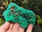 Natural Botryoidal Malachite Specimens x 3 From Congo - Toprock Gemstones and Minerals 