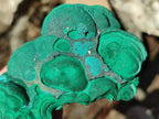 Natural Botryoidal Malachite Specimens x 3 From Congo - Toprock Gemstones and Minerals 