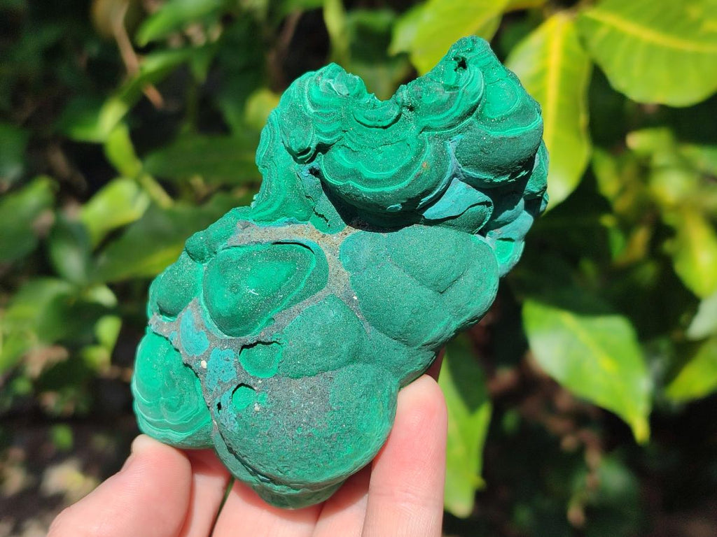 Natural Botryoidal Malachite Specimens x 3 From Congo - Toprock Gemstones and Minerals 