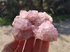 Natural Cactus Flower Spirit Amethyst Clusters x 4 From South Africa - Toprock Gemstones and Minerals 