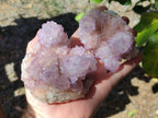 Natural Cactus Flower Spirit Amethyst Clusters x 4 From South Africa - Toprock Gemstones and Minerals 