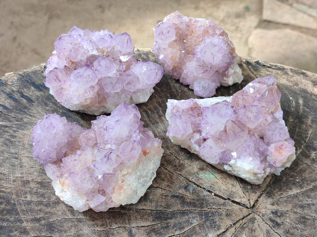 Natural Cactus Flower Spirit Amethyst Clusters x 4 From South Africa - Toprock Gemstones and Minerals 
