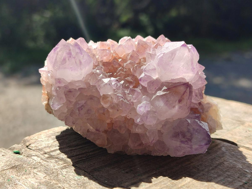 Natural Cactus Flower Spirit Amethyst Clusters x 4 From South Africa - Toprock Gemstones and Minerals 