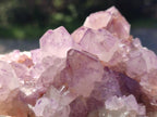 Natural Cactus Flower Spirit Amethyst Clusters x 4 From South Africa - Toprock Gemstones and Minerals 