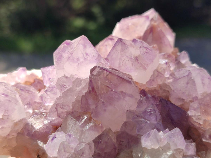 Natural Cactus Flower Spirit Amethyst Clusters x 4 From South Africa - Toprock Gemstones and Minerals 