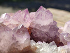 Natural Cactus Flower Spirit Amethyst Clusters x 4 From South Africa - Toprock Gemstones and Minerals 