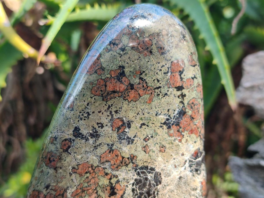 Polished Large Eclogite Standing Display Piece x 1 From Northern Cape, South Africa - Toprock Gemstones and Minerals 