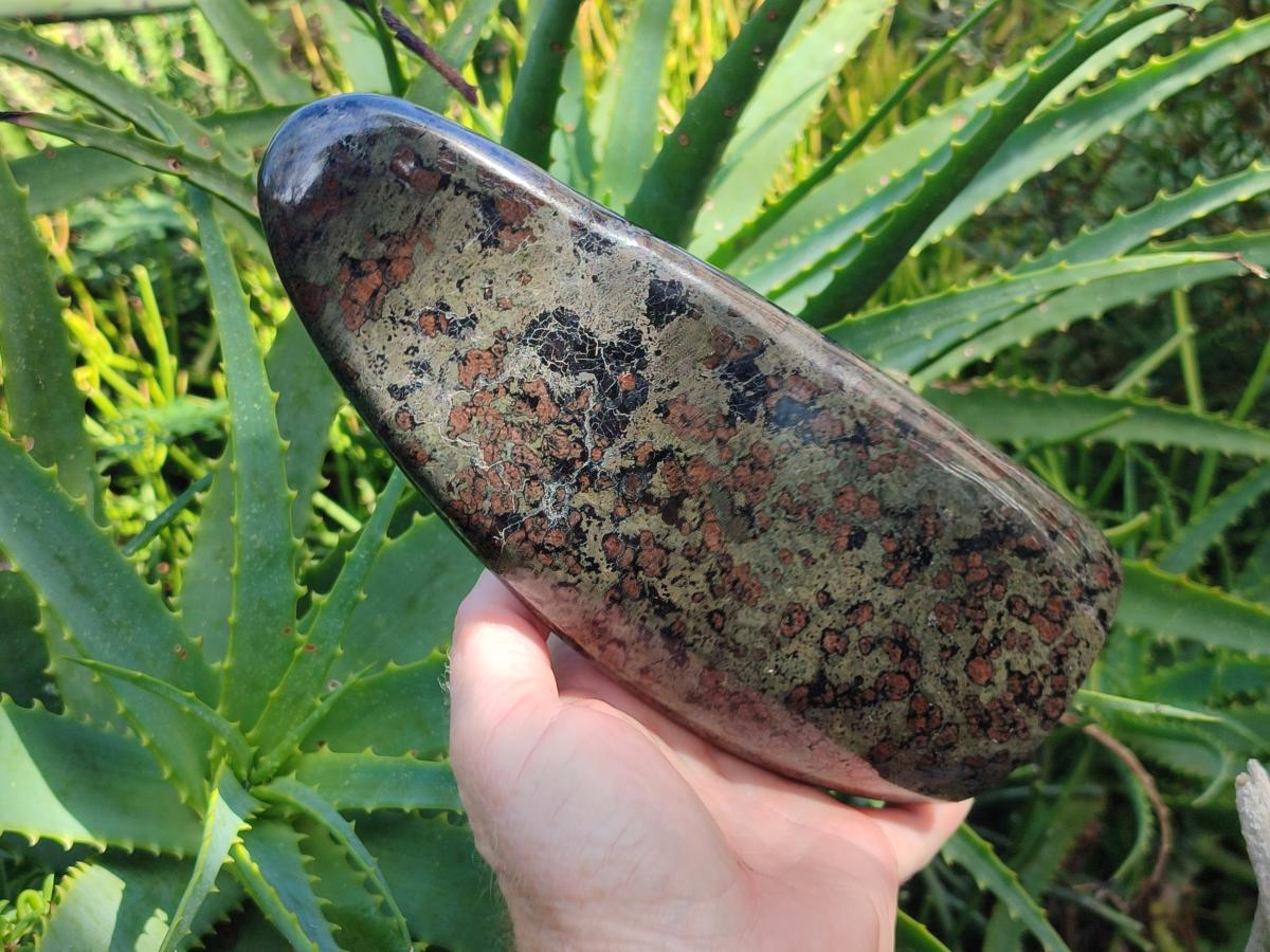 Polished Large Eclogite Standing Display Piece x 1 From Northern Cape, South Africa - Toprock Gemstones and Minerals 