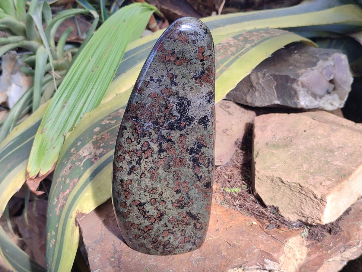 Polished Large Eclogite Standing Display Piece x 1 From Northern Cape, South Africa - Toprock Gemstones and Minerals 