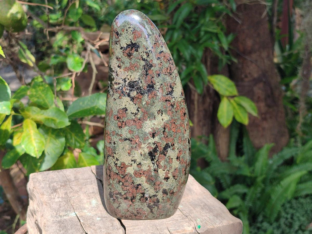Polished Large Eclogite Standing Display Piece x 1 From Northern Cape, South Africa - Toprock Gemstones and Minerals 
