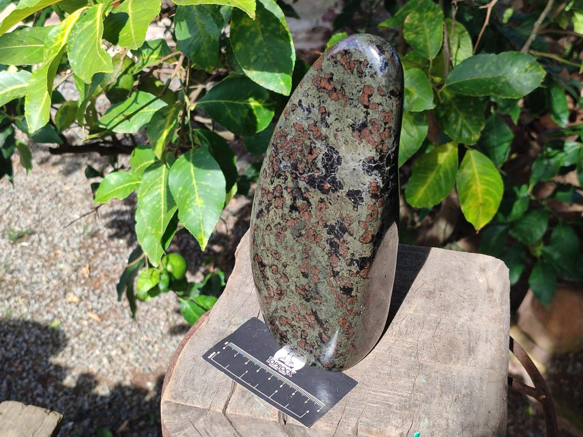 Polished Large Eclogite Standing Display Piece x 1 From Northern Cape, South Africa - Toprock Gemstones and Minerals 