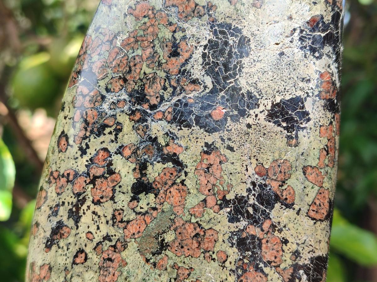 Polished Large Eclogite Standing Display Piece x 1 From Northern Cape, South Africa - Toprock Gemstones and Minerals 