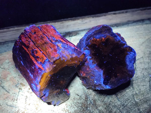 Polished On One Side Dadoxylon Petrified Wood Tree Branches x 6 From Gokwe, Zimbabwe - Toprock Gemstones and Minerals 