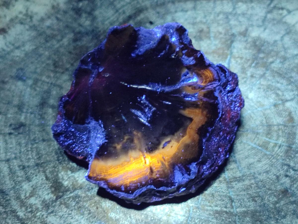 Polished On One Side Dadoxylon Petrified Wood Tree Branches x 6 From Gokwe, Zimbabwe - Toprock Gemstones and Minerals 